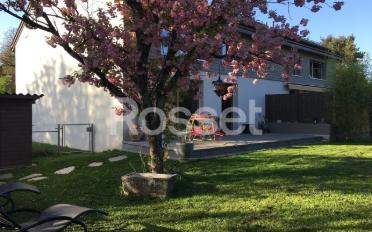 Wohnung 4 Zimmer - image - 5