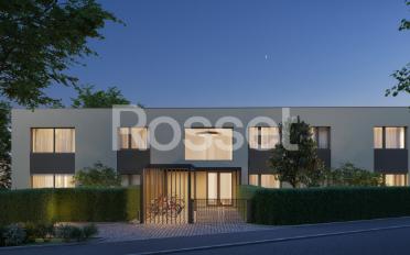 Appartement - image - 4