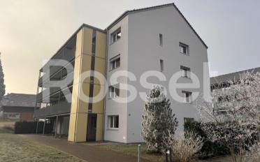 Wohnung 3.5 Zimmer - image - 1