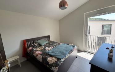 Apartment 2.5 rooms - image - 5