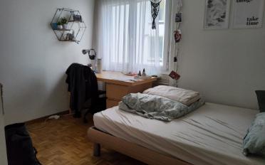 Wohnung 4 Zimmer - image - 4
