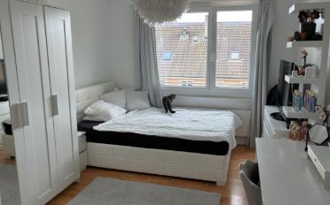 Wohnung 3.5 Zimmer - image - 4