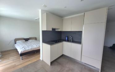 Apartment 1.5 rooms - image - 1