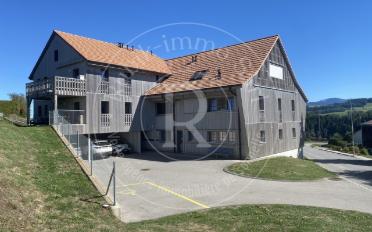 Duplex 5.5 rooms - image - 2