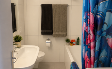Duplex 3.5 rooms - image - 9