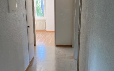 Wohnung 3 Zimmer - image - 6