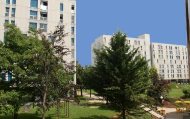 Wohnung 3 Zimmer - image - 1