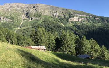 Studio 1.5 pièces - image - 9