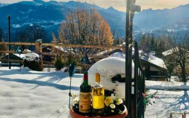 Chalet 7 pièces - image - 2