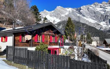 Chalet 6 rooms - image - 2