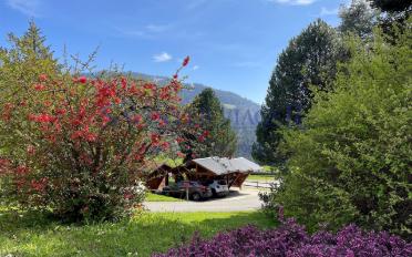 Wohnung 5.5 Zimmer - image - 5