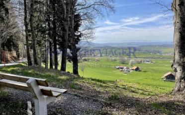 Wohnung 5.5 Zimmer - image - 4