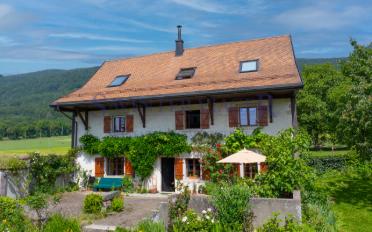 Single house 8 rooms - image - 4