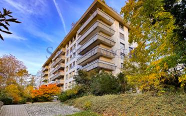 Wohnung 3 Zimmer - image - 1