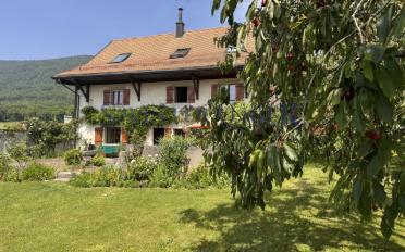 Maison 8 pièces - image - 2
