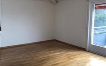 Wohnung 2.5 Zimmer - image - 4