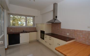 Terrace flat 5.5 rooms - image - 6