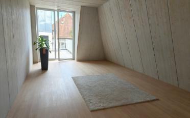 Attic flat 3.5 rooms - image - 3