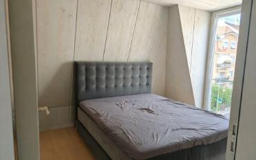 Attic flat 3.5 rooms - image - 5