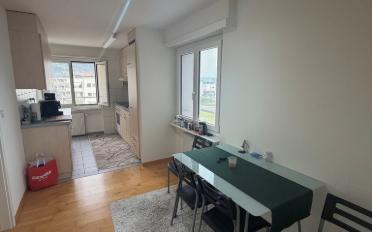 Wohnung 3.5 Zimmer - image - 5