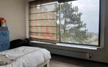 Einfamilienhaus 8 Zimmer - image - 9