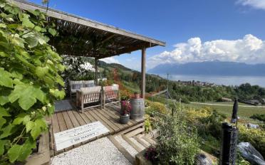 Villa 7 Zimmer - image - 7