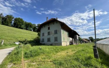 Farm house 3.5 rooms - image - 2