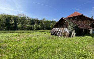 Farm house 3.5 rooms - image - 3