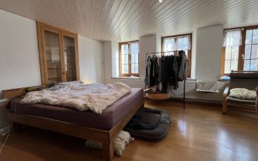 Farm house 6.5 rooms - image - 7