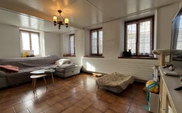 Farm house 6.5 rooms - image - 3