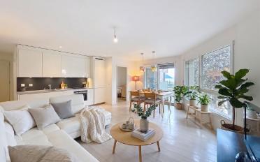 Wohnung 2.5 Zimmer - image - 1