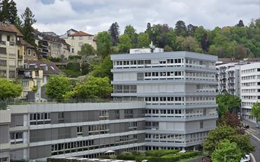 Office - image - 1