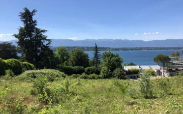 Terrain à bâtir - image - 1