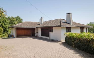Single house 11 rooms - image - 2