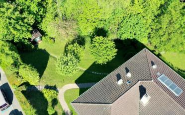 Single house 11 rooms - image - 1