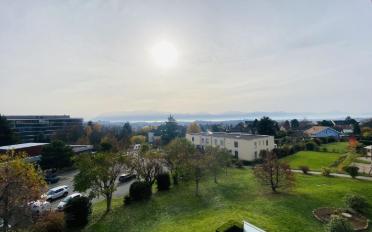 Attic flat 4.5 rooms - image - 11