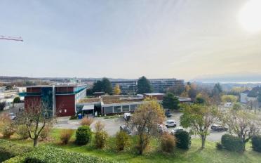 Attic flat 4.5 rooms - image - 10