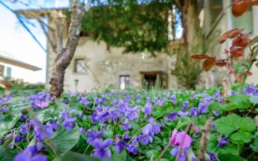 Maison contiguë 7 pièces - image - 1