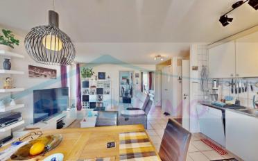 Immeuble résidentiel 11 pièces - image - 6