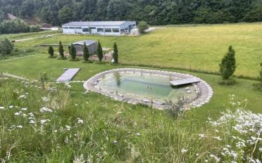 Villa 5.5 pièces - image - 12