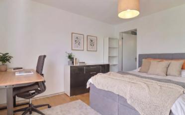 Wohnung 4.5 Zimmer - image - 6