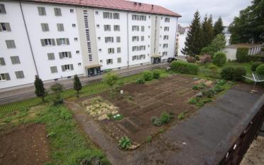 Wohnung 3 Zimmer - image - 8