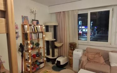 Apartment 1 room - image - 3