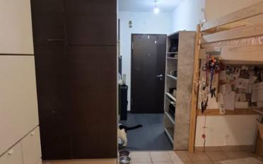 Apartment 1 room - image - 4