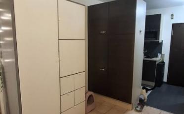 Apartment 1 room - image - 5