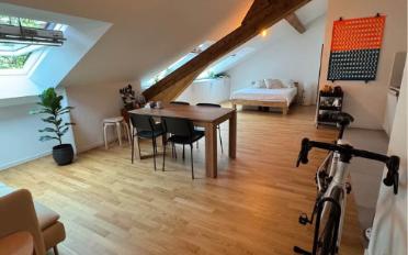 Appartement 1.5 pièces - image - 3