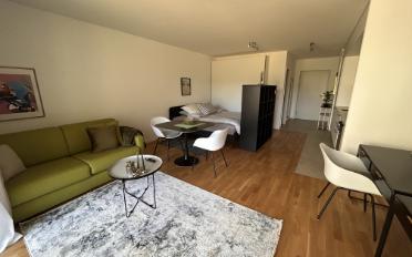Wohnung ein Zimmer - image - 1