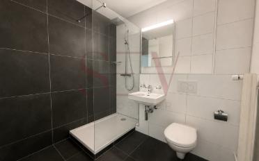 Appartement 4.5 pièces - image - 9