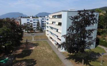 Wohnung 3 Zimmer - image - 2