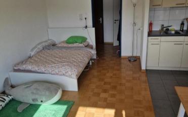 Appartement 1.5 pièces - image - 2